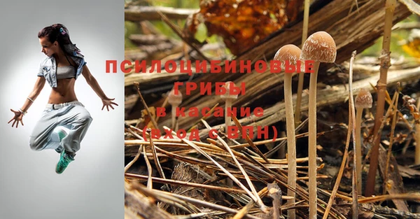 каннабис Медвежьегорск