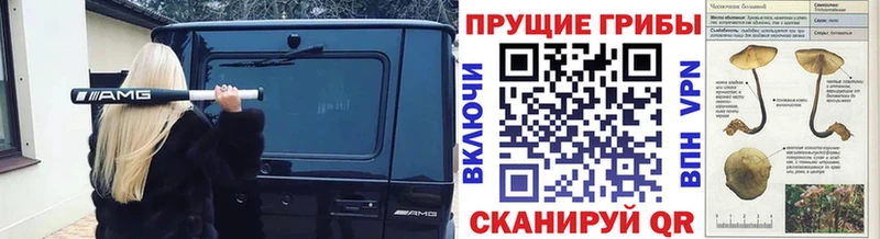 Галлюциногенные грибы мицелий  Липецк 